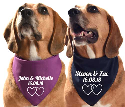 Personalised Wedding Day Dog Bandana