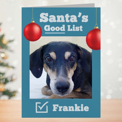 Dog Christmas Card - Santa's Good List