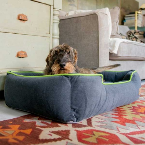 Urban Plush Lounge Dog Bed