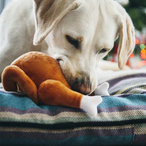 Christmas Turkey Plush Dog Toy