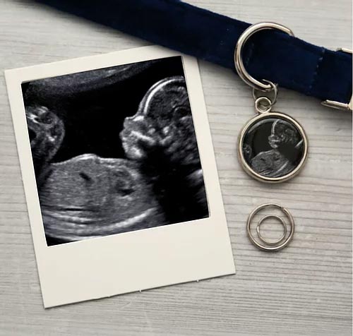 Pregnancy Reveal Dog Tag