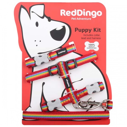 Puppy Harness, Collar & Lead Set - Rainbow