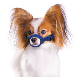 dog muzzle for small dogs