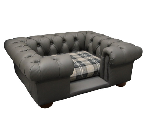 gray dog couch
