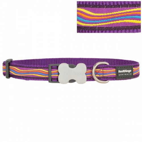 Red Dingo Dog Collar Dreamstream Purple