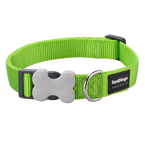 Red Dingo Lime Green Dog Collar