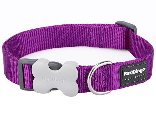 Red Dingo Purple Dog Collar