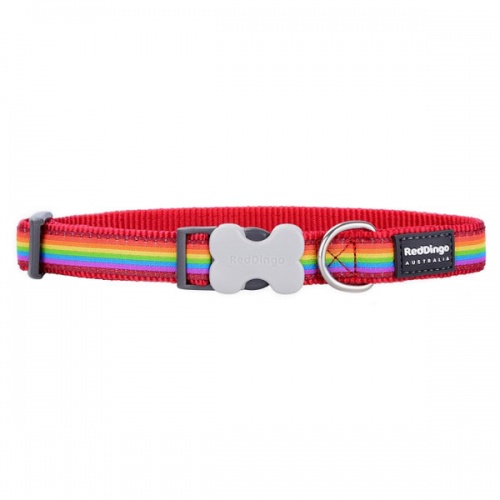 Red Dingo Dog Collar Rainbow