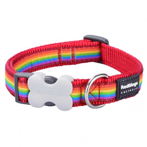 Red Dingo Dog Collar Rainbow