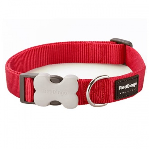 Red Dingo Red Dog Collar