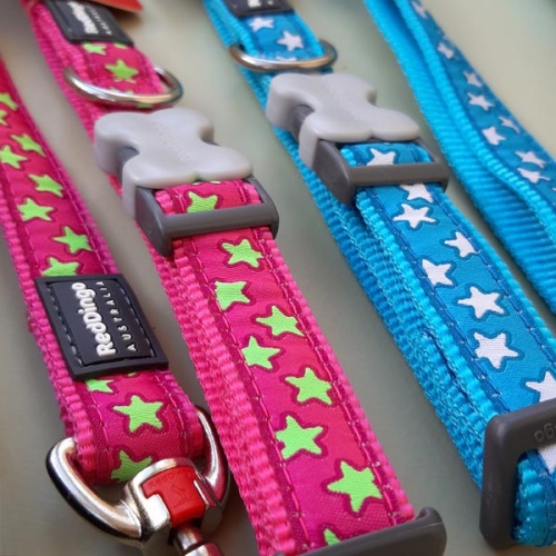 Red Dingo Dog Collar White Stars on Turquoise