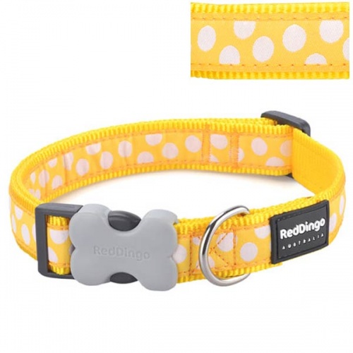 Red Dingo Dog Collar White Spots on Yellow