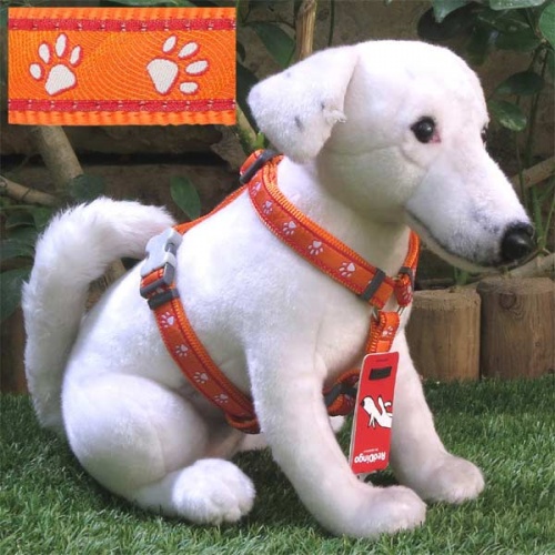 Red Dingo Dog Harness Desert Paws Orange