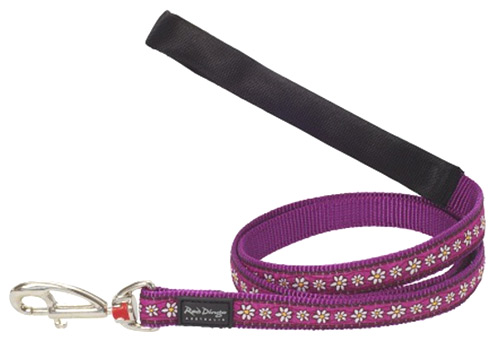 Red Dingo Dog Lead Daisy Chain Purple