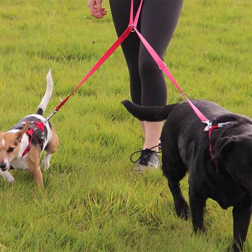 Double-Ended Multipurpose Dog Lead
