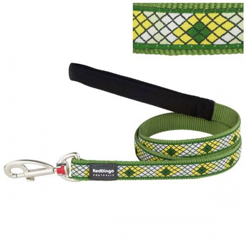 Red Dingo Monty Green Dog Lead