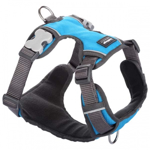 Red Dingo Padded Dog Harness - Blue