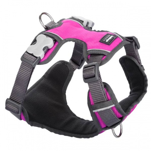 Red Dingo Padded Dog Harness - Hot Pink