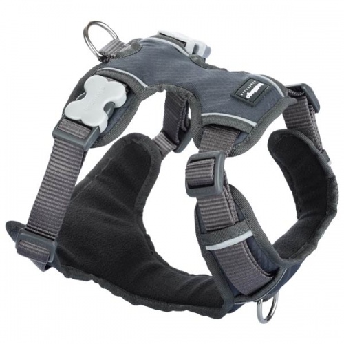 Red Dingo Padded Dog Harness - Grey