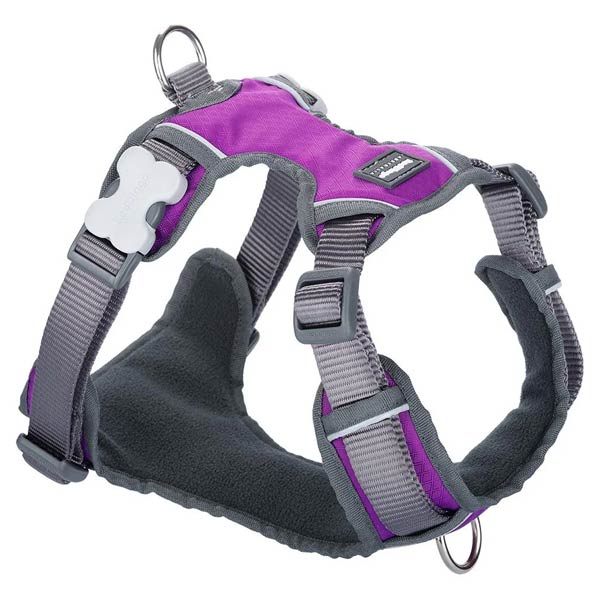 Red Dingo Padded Dog Harness - Purple