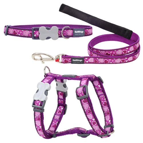 Puppy Harness, Collar & Lead Set - Breezy Love Purple