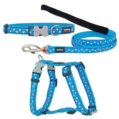 Puppy Harness, Collar & Lead Set - White Stars on Turquoise