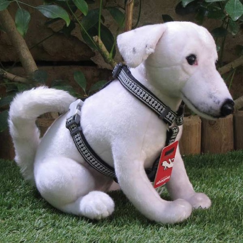 Red Dingo Reflective Dog Harness - Black Bones