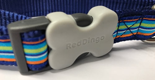 Red Dingo Dog Collar Horizontal Stripe