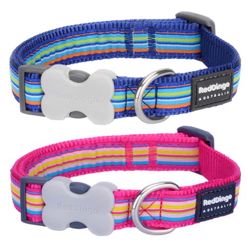 Red Dingo Horizontal Stripe Dog Collar Blue or Pink D for Dog