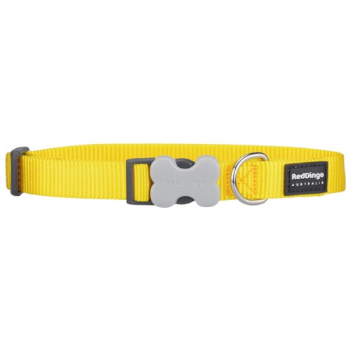 Red Dingo Yellow Dog Collar