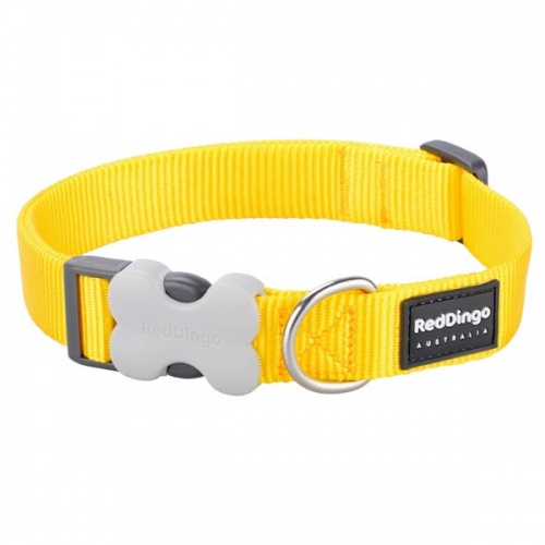 Red Dingo Yellow Dog Collar