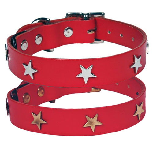 Studded Red Leather Dog Collar