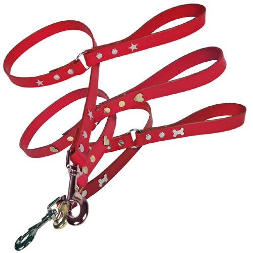 Studded Red Leather Dog Lead