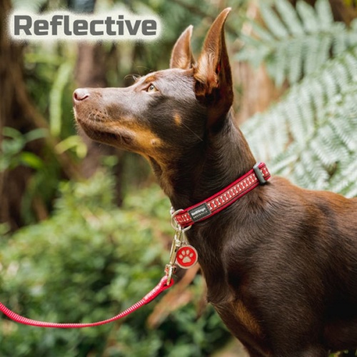 Reflective Dog Collar - Red Bones
