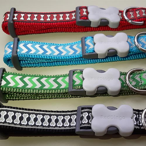 Ziggy Reflective Dog Collar