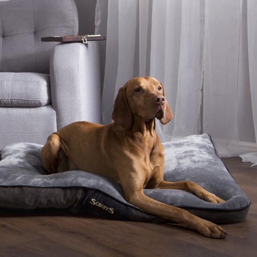 Scruffs Chester Dog Mattress