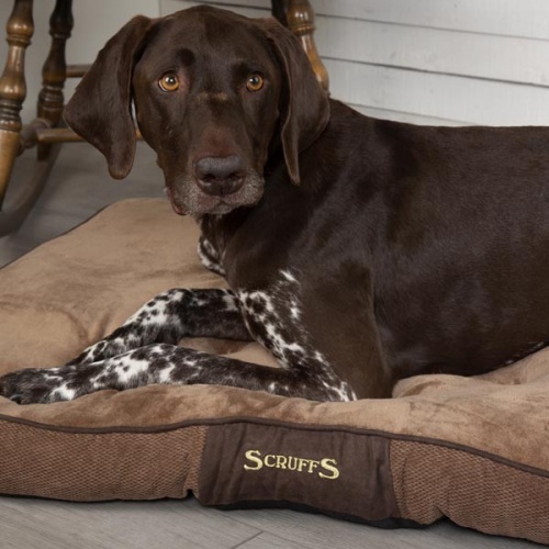 Scruffs Chester Dog Mattress