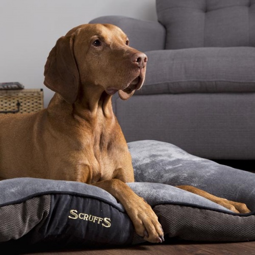 Scruffs Chester Dog Mattress