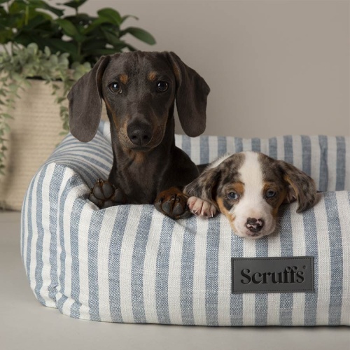 Scruffs Coastal Stripe Bolster Dog Bed UK