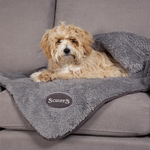 Scruffs Cosy Dog Blanket