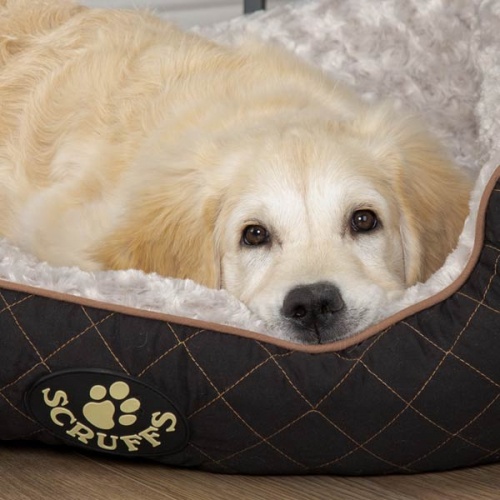 Wilton Quilted Dog Bed