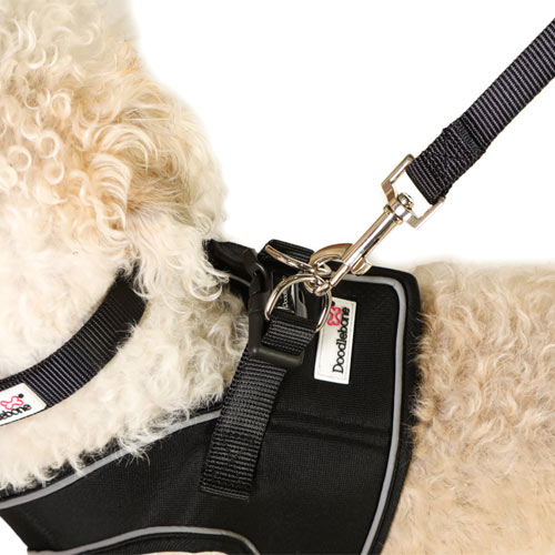 Doodlebone Snappy Dog Harness