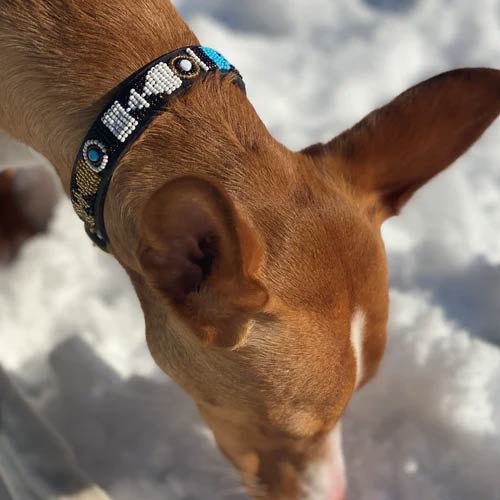 Masai Beaded Dog Collar - Sky