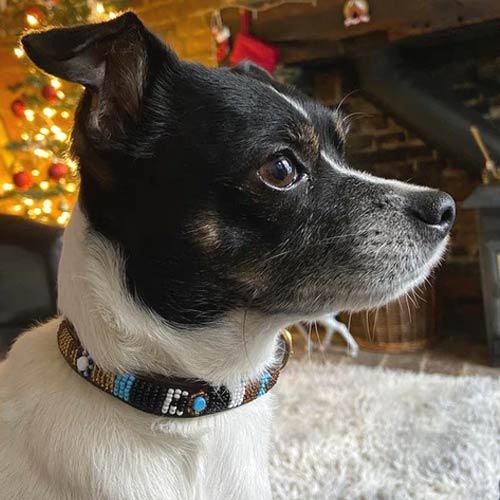 Masai Beaded Dog Collar - Sky