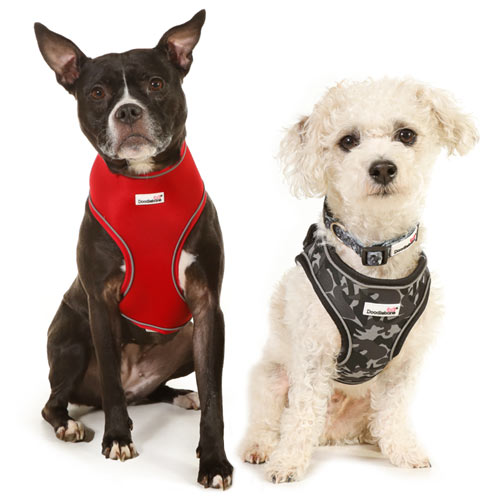 Doodlebone Snappy Dog Harness