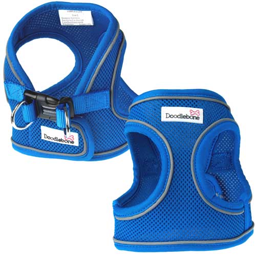 Fancy Mesh Harness main image 1