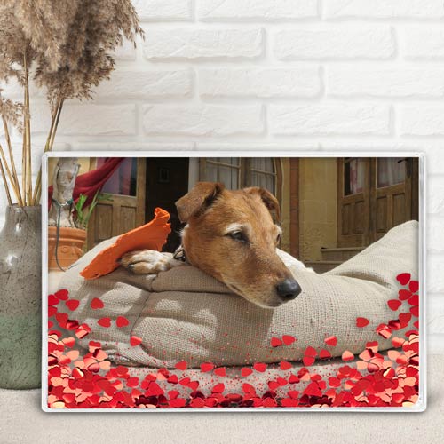 Your Photo in Glitter Snow Globe Picture Frame | UK