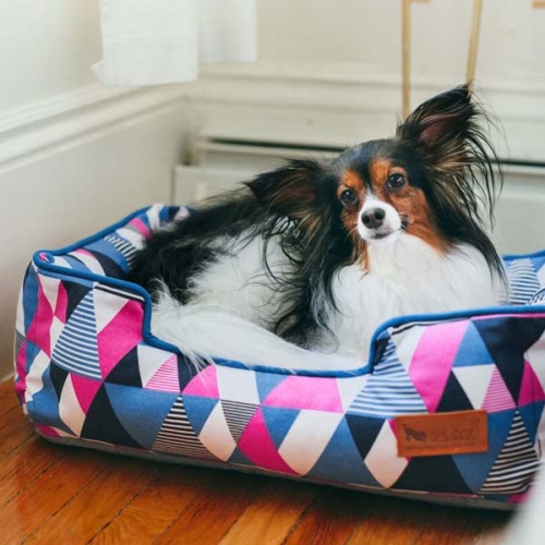 Mosaic Soda Pop Lounge Dog Bed