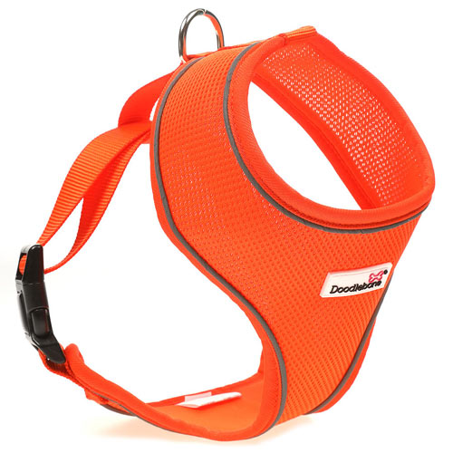 Doodlebone Air Mesh Harness