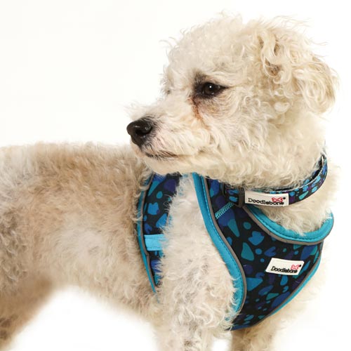 Doodlebone Snappy Dog Harness